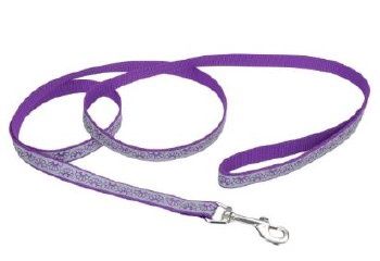 Lazer Brite Reflective Leash 1 x 6' PurDaisy