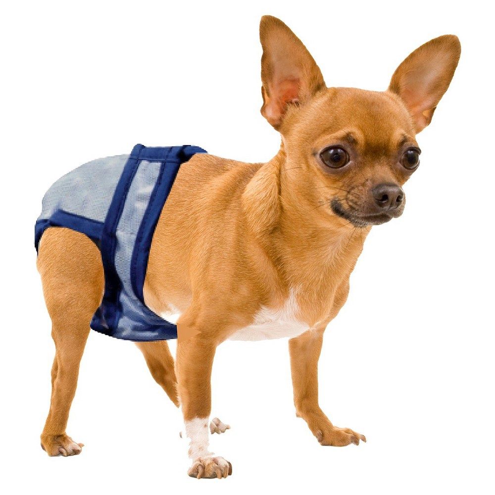 PoochPants Reusable Dog Diaper, XX-Small, Up To 4 lbs