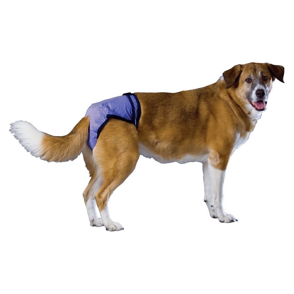 PoochPants Reusable Dog Diaper, X-Large, 56 To 90 lbs