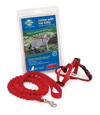 Premier Pet Products - Come With Me Kitty Harness &amp; Bungee Leash- Lilac Large -