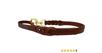 angel pet supplies braid lead 2' x 3/4" brown
