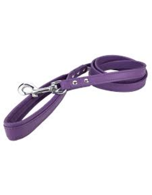 Angel Pet Supplies Leash Dog Alpine 48 x1 / 2″ Purple