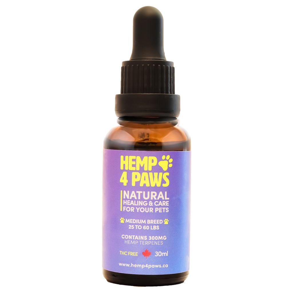 Hemp 4 Paws Medium Breed 300mg