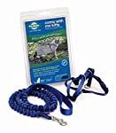 PetSafe Come With Me Kitty Harness &amp; Bungee Leash Medium Roy