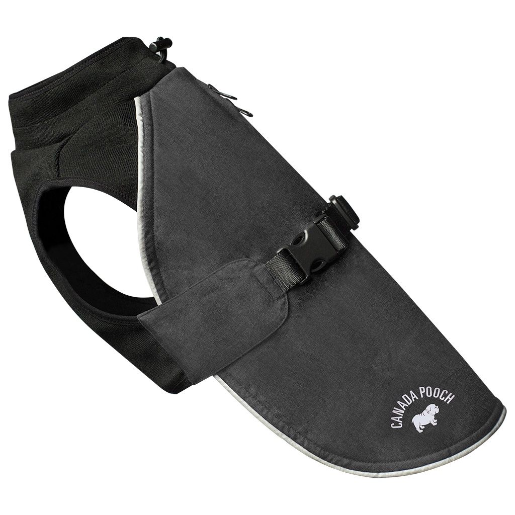 Canada Pooch - The Expedition Coat Charcoal 32"