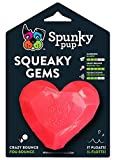Spunky Pup Heart Squeaker Dog Toy
