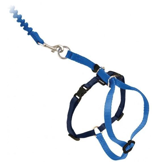 PetSafe Come With Me Kitty Harness &amp; Bungee Leash SM Blue