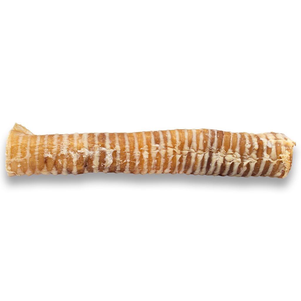 ASADO - Beef Trachea 12"