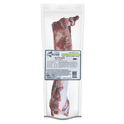 Iron Will Raw - Beef Rib Bone - 1pc