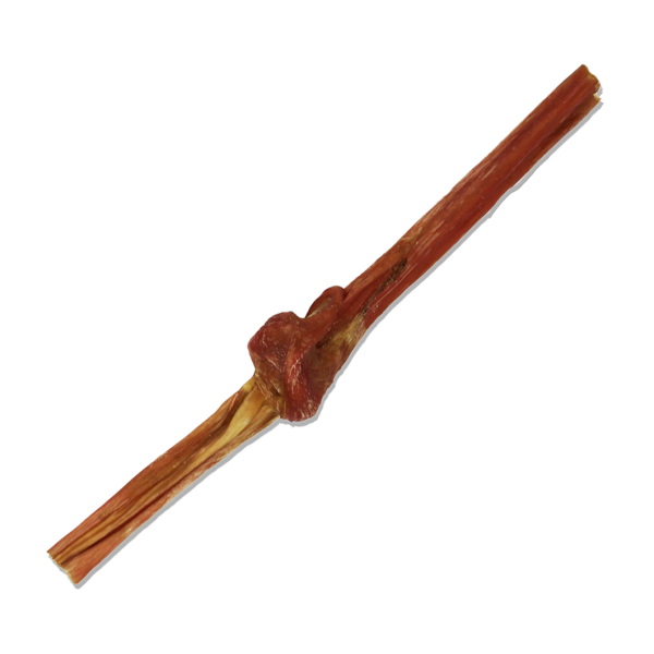 Open Range -  Bladder Stick - 12"
