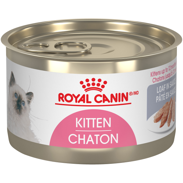 Royal Canin - FHN Kitten Instinctive Loaf - 145g