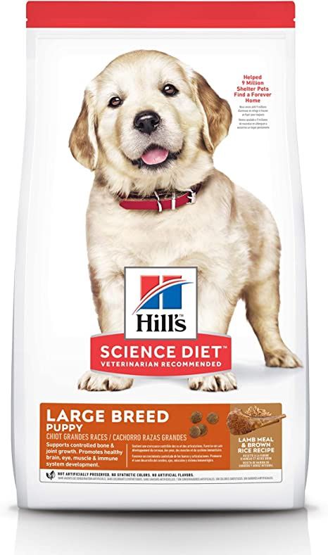 Hill's® Science Diet® Puppy Large Breed Lamb Meal &amp; Brown Rice Recipe