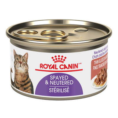 Royal Canin - Spayed Neutered Thin Slices in Gravy Wet Cat Food - 85g