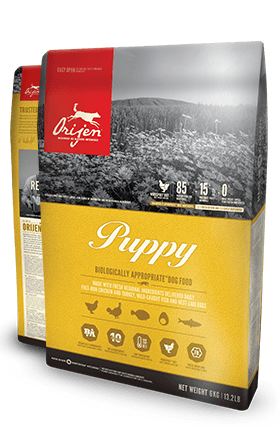 Orijen - Puppy Dry Dog Food - 4lbs