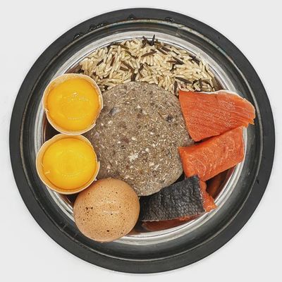 SimplyRaw - Salmon, Egg, Rice - 20lbs