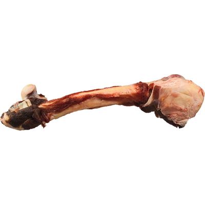 K9 Choice - Frozen Kangaroo Whole Leg Bone