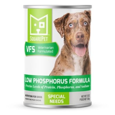 SQUAREPet - Dog VFS Low Phosphorus Formula Can - 369g