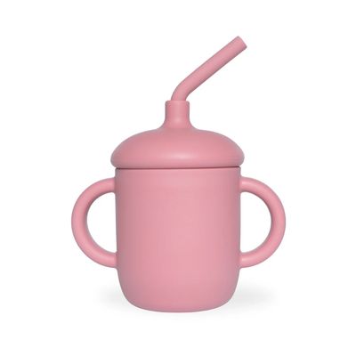 Baby Bliss Sippy Cup With Straw Spill Proof