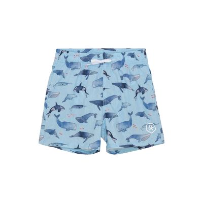 Color Kids Swim Shorts Aop Whales Summer Song