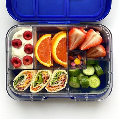 Munchbox Maxi 6 Midnight Blue