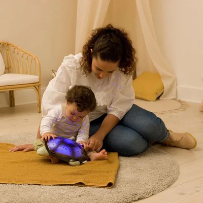 Cloud B Night Light Twilight Turtle