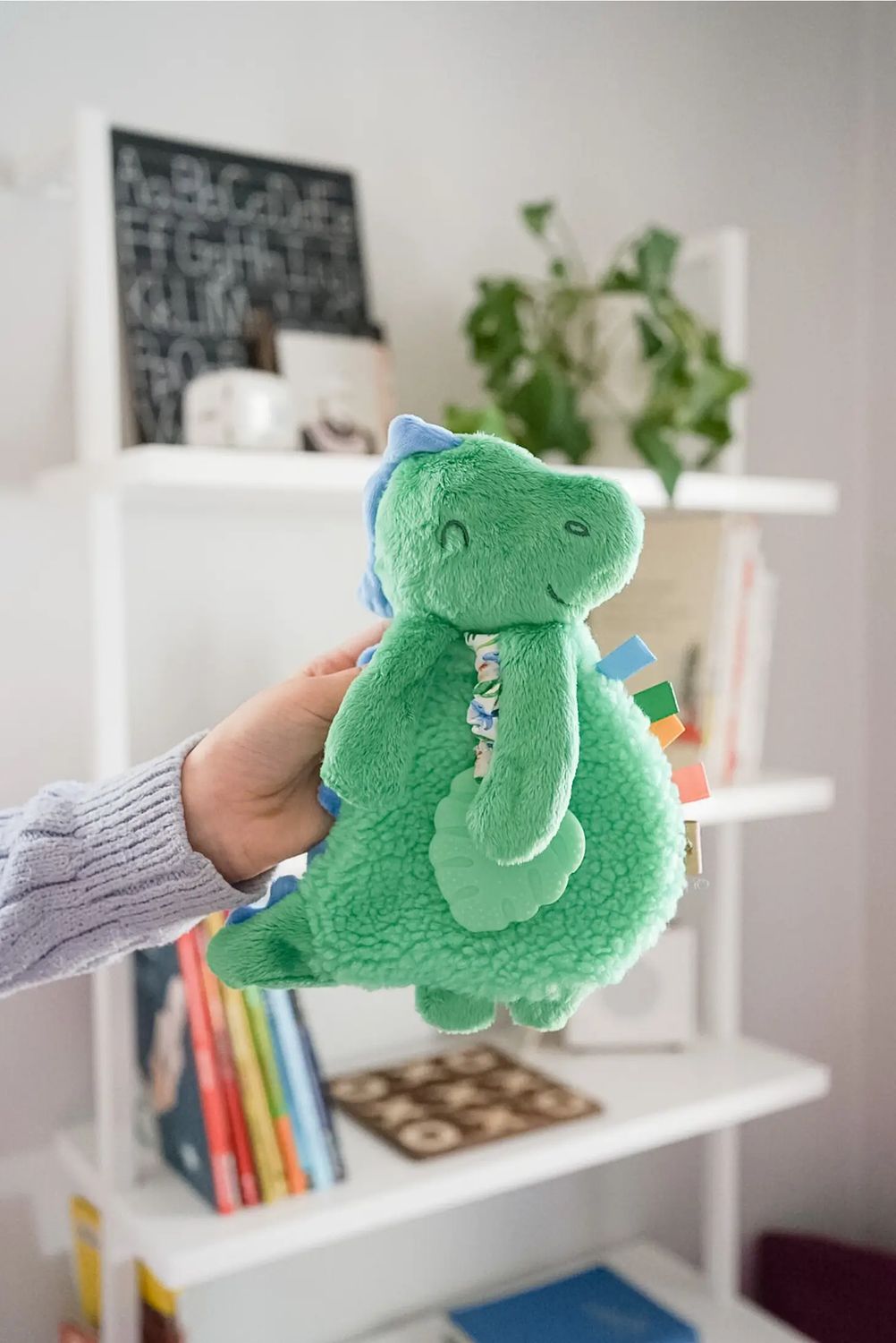 Itzy Ritzy Pal Plush/Silicone Teether Dino - James