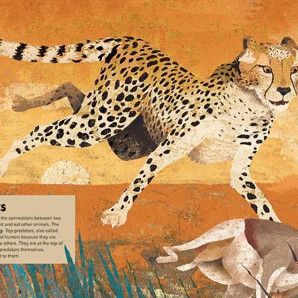 Books Barefoot Books Incredible Animals Hardcover