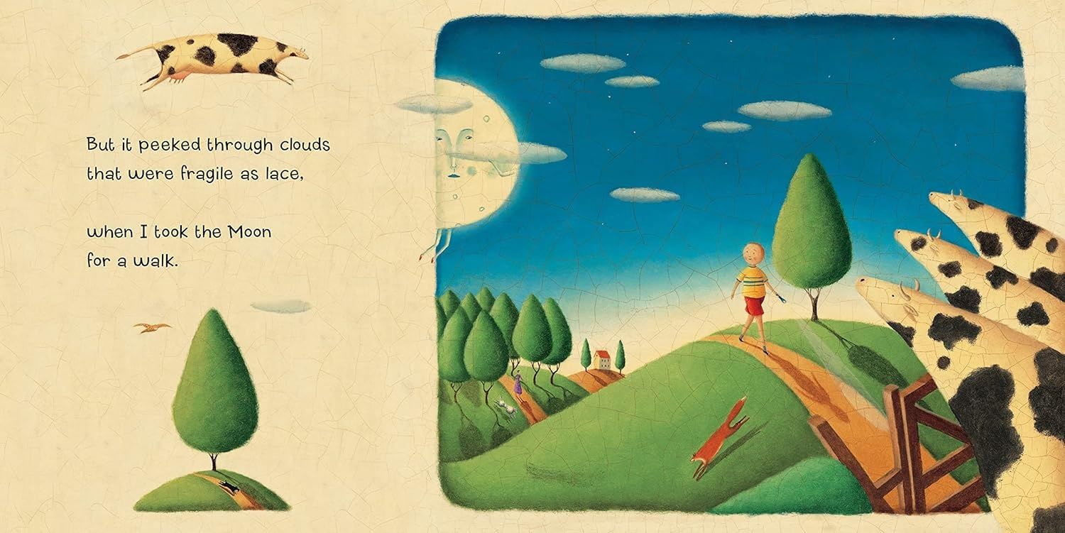 Book I Took the Moon For A Walk