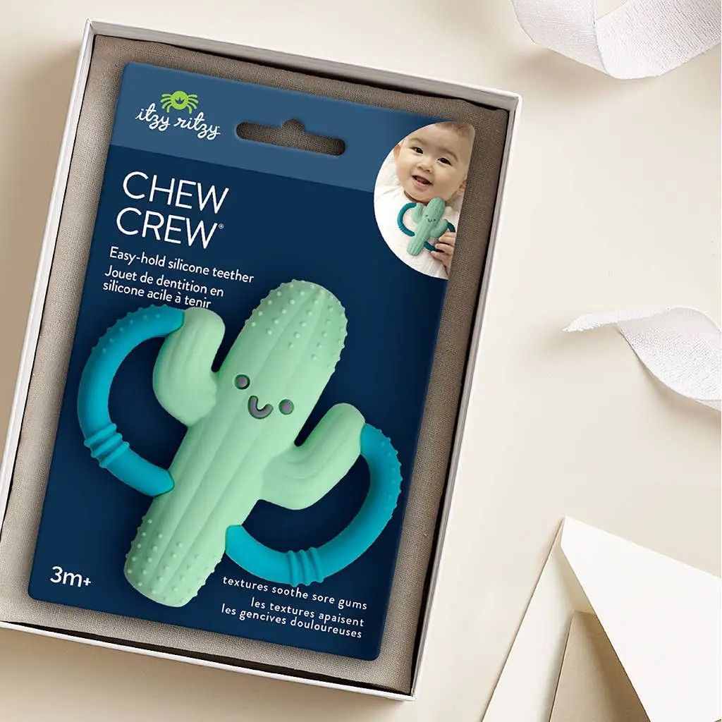 Itzy Ritzy Chew Crew Cactus