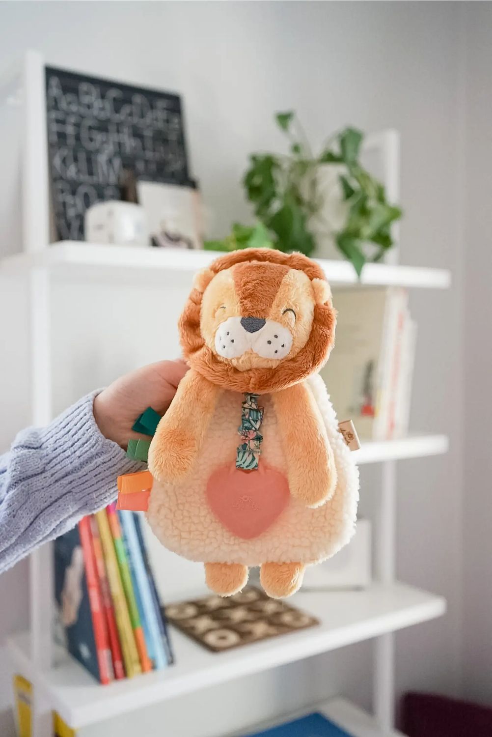 Itzy Ritzy Pal Plush/Silicone Teether Lion
