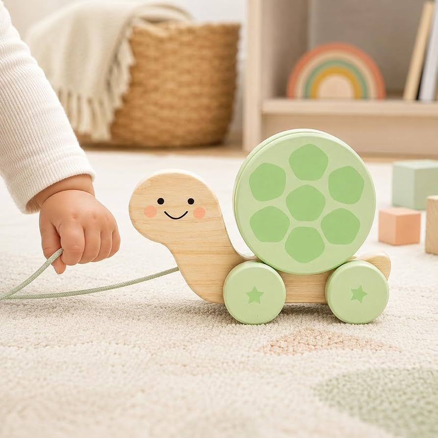 Pearhead Wooden Turtle Toy
