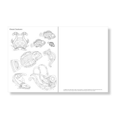 Native Northwest Colouring Book Colour &amp; Draw Northwest Coast