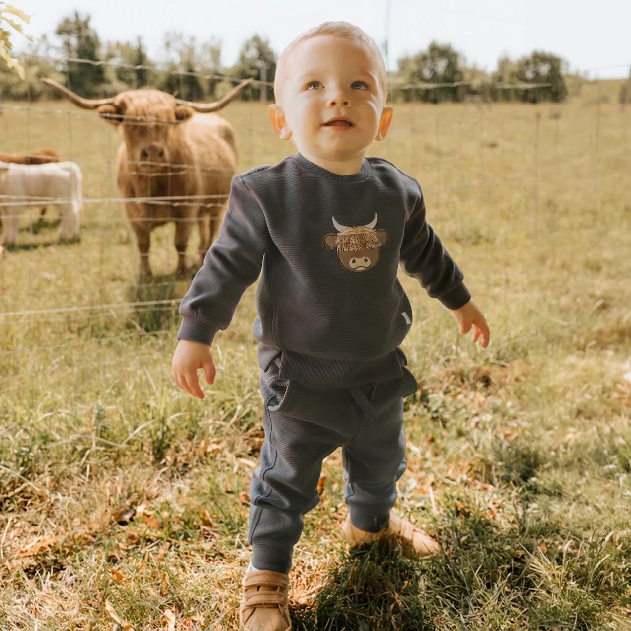 Petit Lem 2pc Knit Sweatshirt &amp; Leggings Set Highland Cow Dark Grey