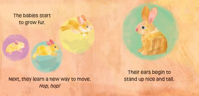 Barefoot Books Baby Animals: Bunnies Know &amp; Grow