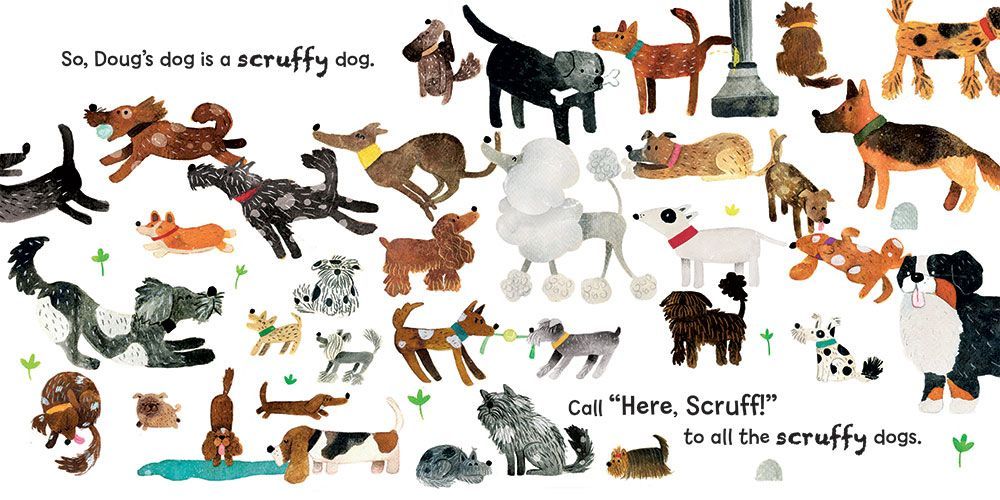 Barefoot Books Can You Find Doug's Dog?