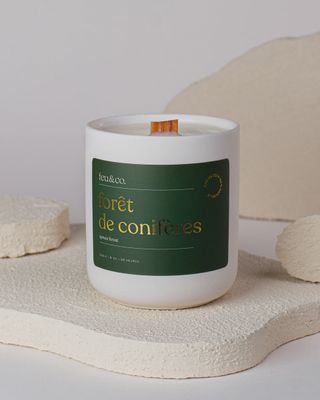 Bougie - Forêt de conifères