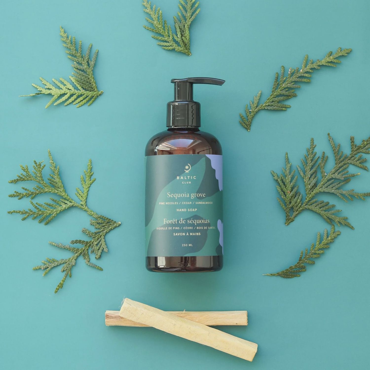 Savon à mains  – Forêt de séquoias