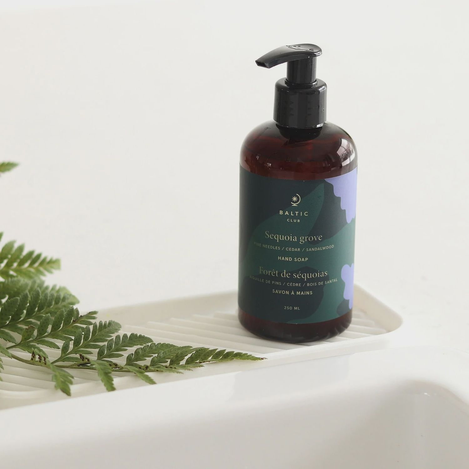 Savon à mains  – Forêt de séquoias