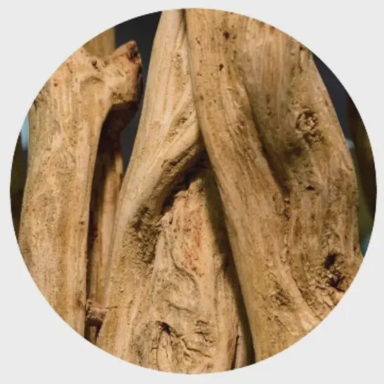 Bois de Mangrove – Eau de Parfum Intense 30 ml