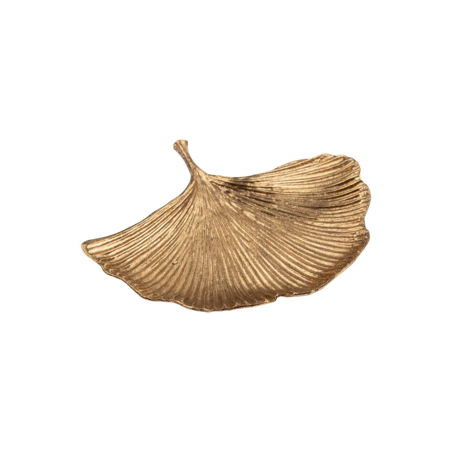 Coupelle - Ginkgo doré