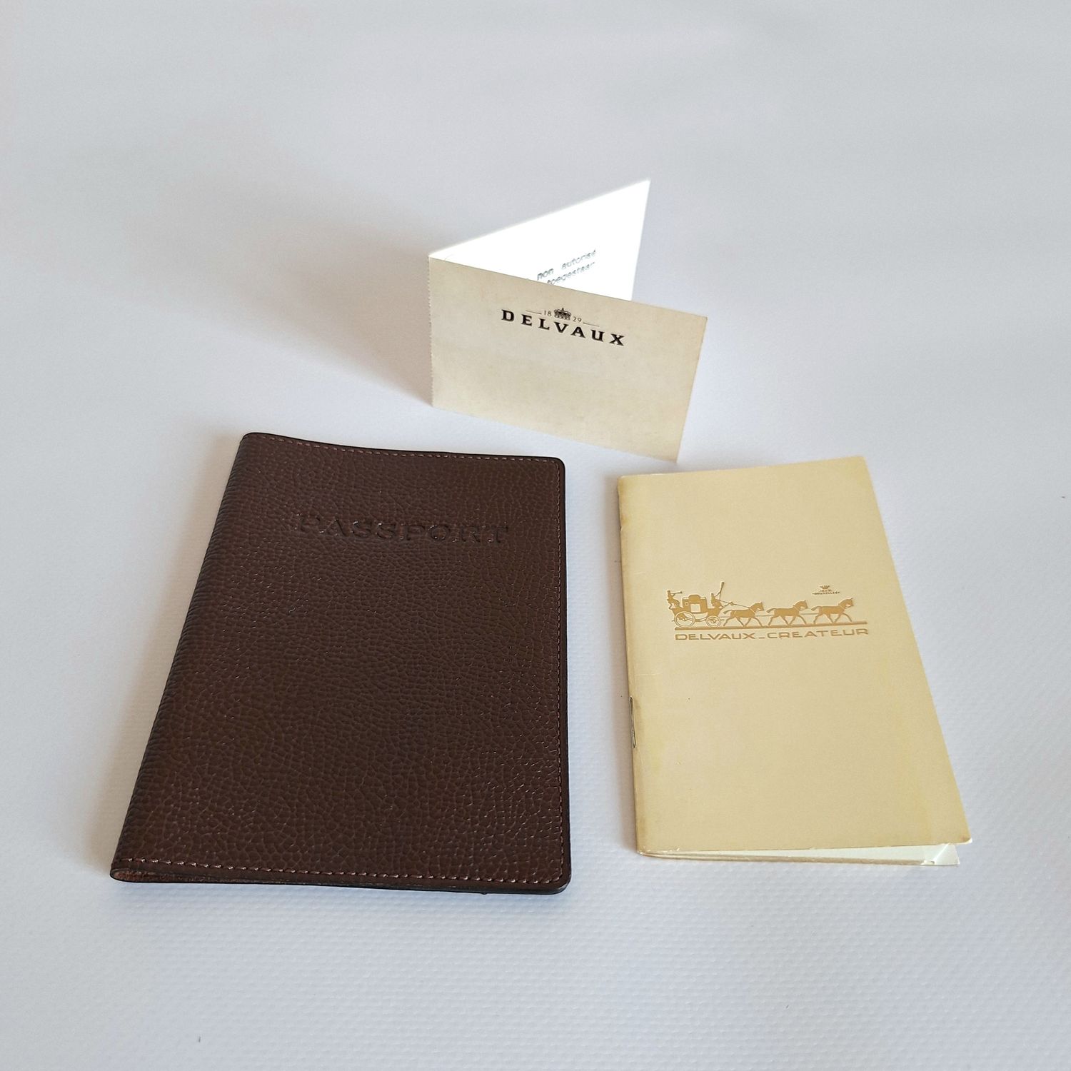 DELVAUX paspoorthouder + register
