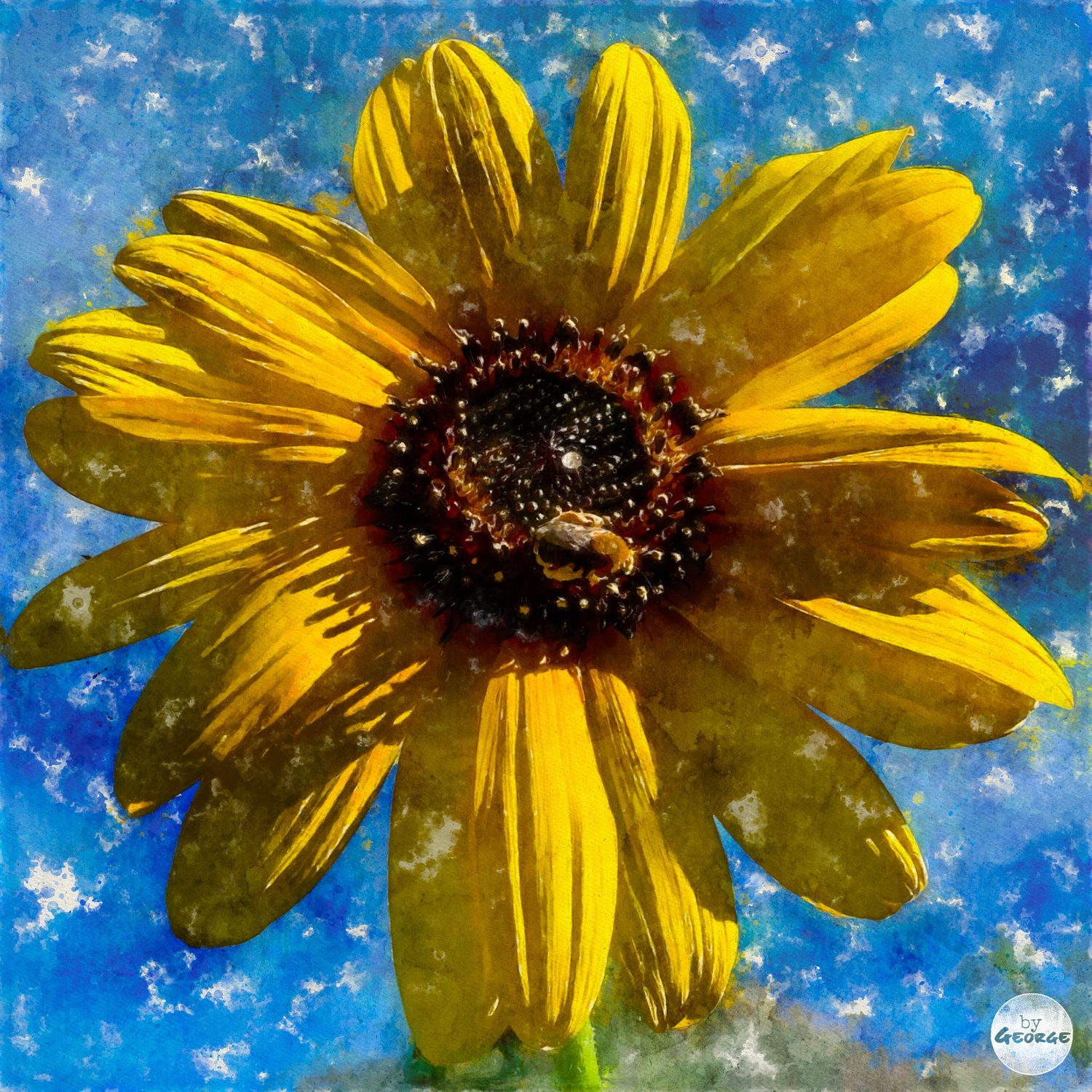 36" x 36" Canvas Portrait