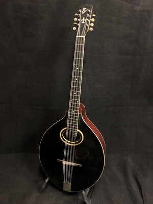 1920 Gibson Mandocello