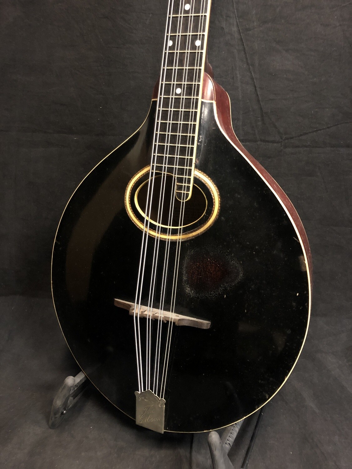 1920 Gibson Mandocello