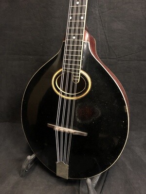 1920 Gibson Mandocello