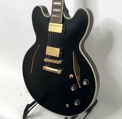 2020 Epiphone Emily Wolfe Sheraton