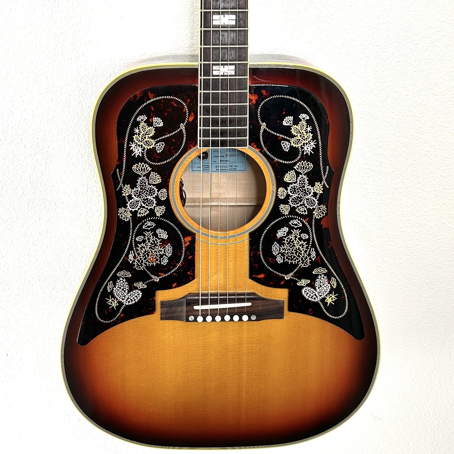 2022 Epiphone FT-110 Frontier