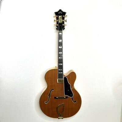 1996 Guild Artist Award