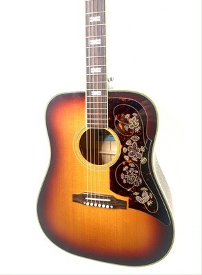 2021 Epiphone Frontier FT-110