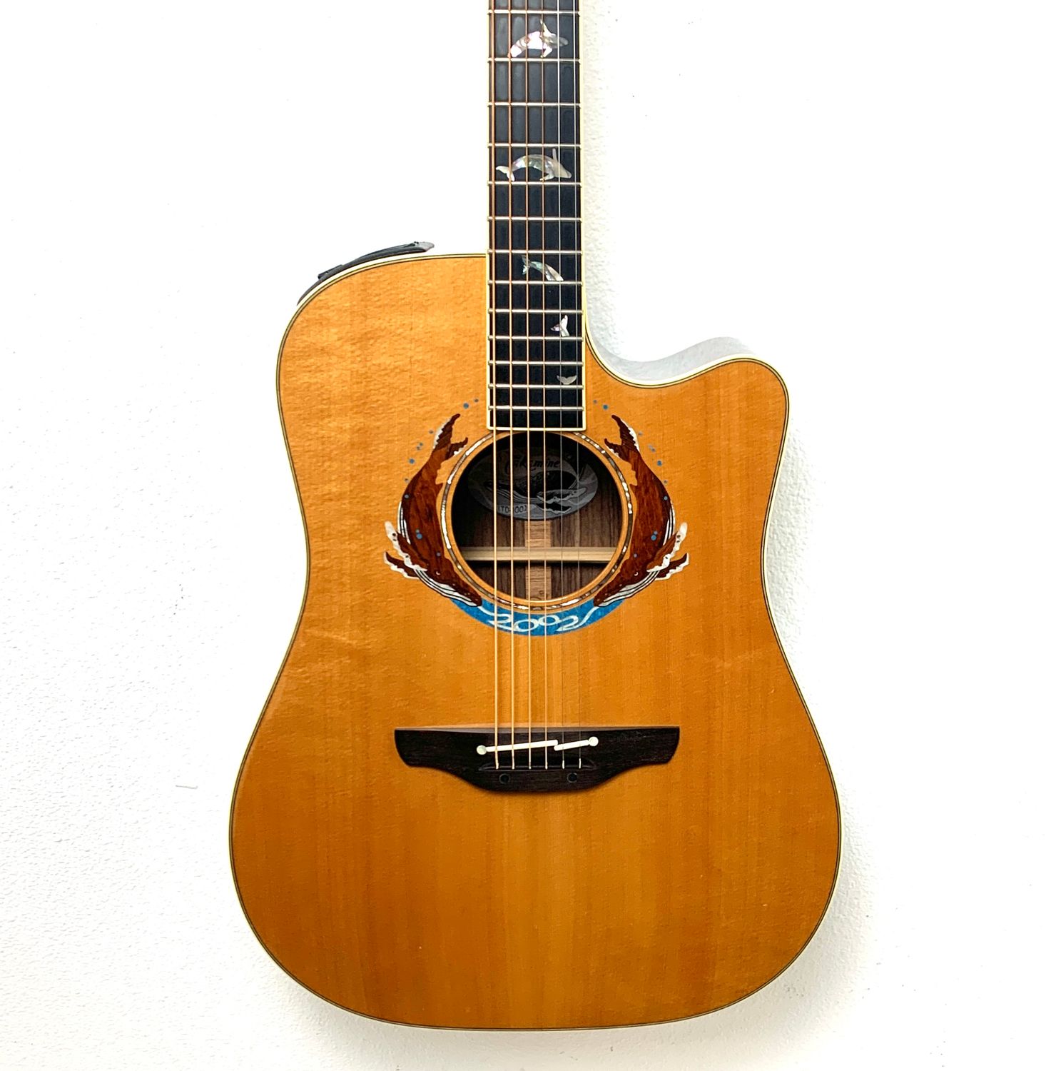 2002 Takamine LTD Whales